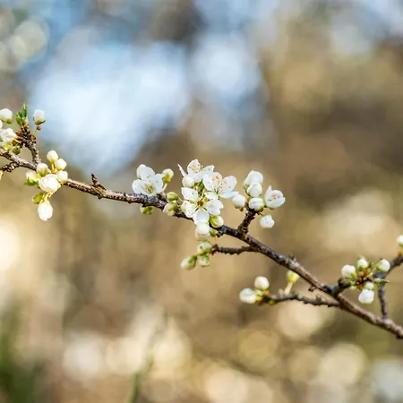 Anneke - 2km From The Sea By Interhome Blokhus